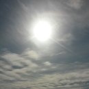 선후수산