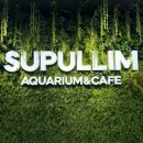 갈매역사 화장실(1층) | 구리 이색데이트 추천 "수풀림 아쿠아카페 구리갈매점" 먹이주기 체험 후기