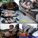 남해오늘
