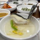 신라복집 | [대전 월평동 맛집]시원한 국물 한 그릇, 신라복집 까치복, 밀복 &amp;복어튀김 후기