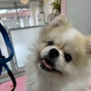 멍키매직 이미지