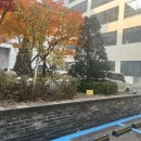 나루약국 이미지