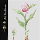 우리 꽃 세밀화 이미지