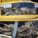 농수산물도매시장 | 가락동농수산물도매시장 대게 시세 후기｜찾아가는 길부터 포장 구매까지