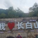송화강여행사