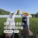 양평 외갓집체험마을 촌캉스로 가기 좋은 서울 근교 여행
