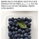 네일스타그램