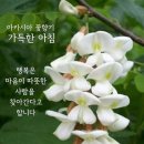 바람난 남편 두었다고~ 이미지