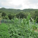 성남농장 이미지