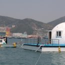 바다위에 이미지