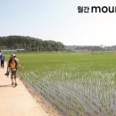 장군묘 화장실 이미지