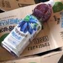 만성축산 | 유기농 하스카프베리 허니베리분말 내돈내산 찐 후기 공유