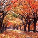 토지농원민박 이미지