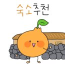 제주이프