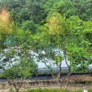 카페조이 이미지