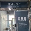 애니브리즈 이미지