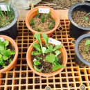 수창한의원 이미지