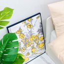 스테이 모어 이미지