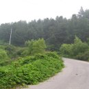 현성사 | 가평 깃대봉-송이봉-수리봉 산행기...경기도 가평군(910m,803m,550m)