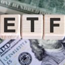 미국 자산운용사(Patient Capital) 펀드에 비트코인 ETF 15% 편입 계획 이미지