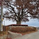 미륵산둘레길 이미지