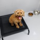 마리동물의료센터 이미지