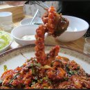 착한낙지 이미지