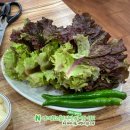 유황오리촌 이미지