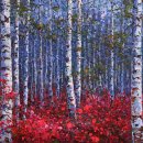 자작나무 이미지