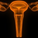 예다여성의원 이미지