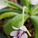 원트 청주 상당 이미지