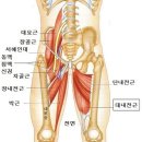 피트니스 13월 이미지