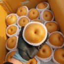 마니아층이 확실한 추황배!!!! 이미지