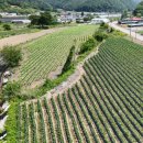 산과들공인중개사사무소 이미지