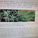 연중시기, 어떻게 보내야 할까 예수님 공생활 모습처럼 일상에서 소외된 이들과 함께해야 이미지