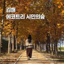 호계로 291번길 이미지