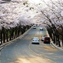 상동교 네거리 이미지