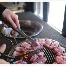 연탄춤추는돼지 이미지