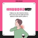 신나는의원 이미지