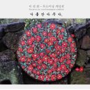 우드버닝 이미지