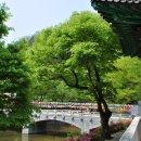 마곡사4 이미지