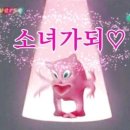웨더스트랩 - 청주시 서원구 내수동로108번길 40 | 웨더스트랩