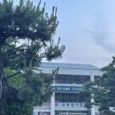 지에스25 해운대마리나점 네이버블로그