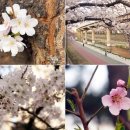 이그니스 호텔 이미지