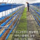 (주)종일푸드 이미지