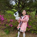 공감어울림 태권도 | 파주 아이와가보기좋은곳 &#34;제3회월롱산철쭉제&#34;*후기*