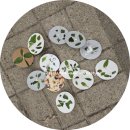 생태랑 놀아볼까 이미지