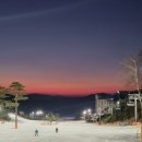 오크밸리스키강습