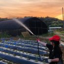 별밤농장 이미지