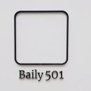 베일리(Baily) 이미지